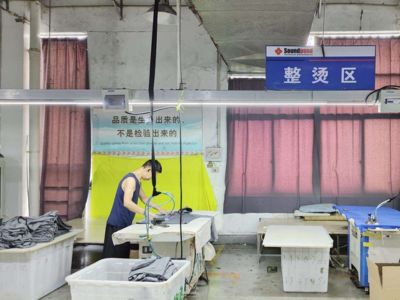 Professional Assembly